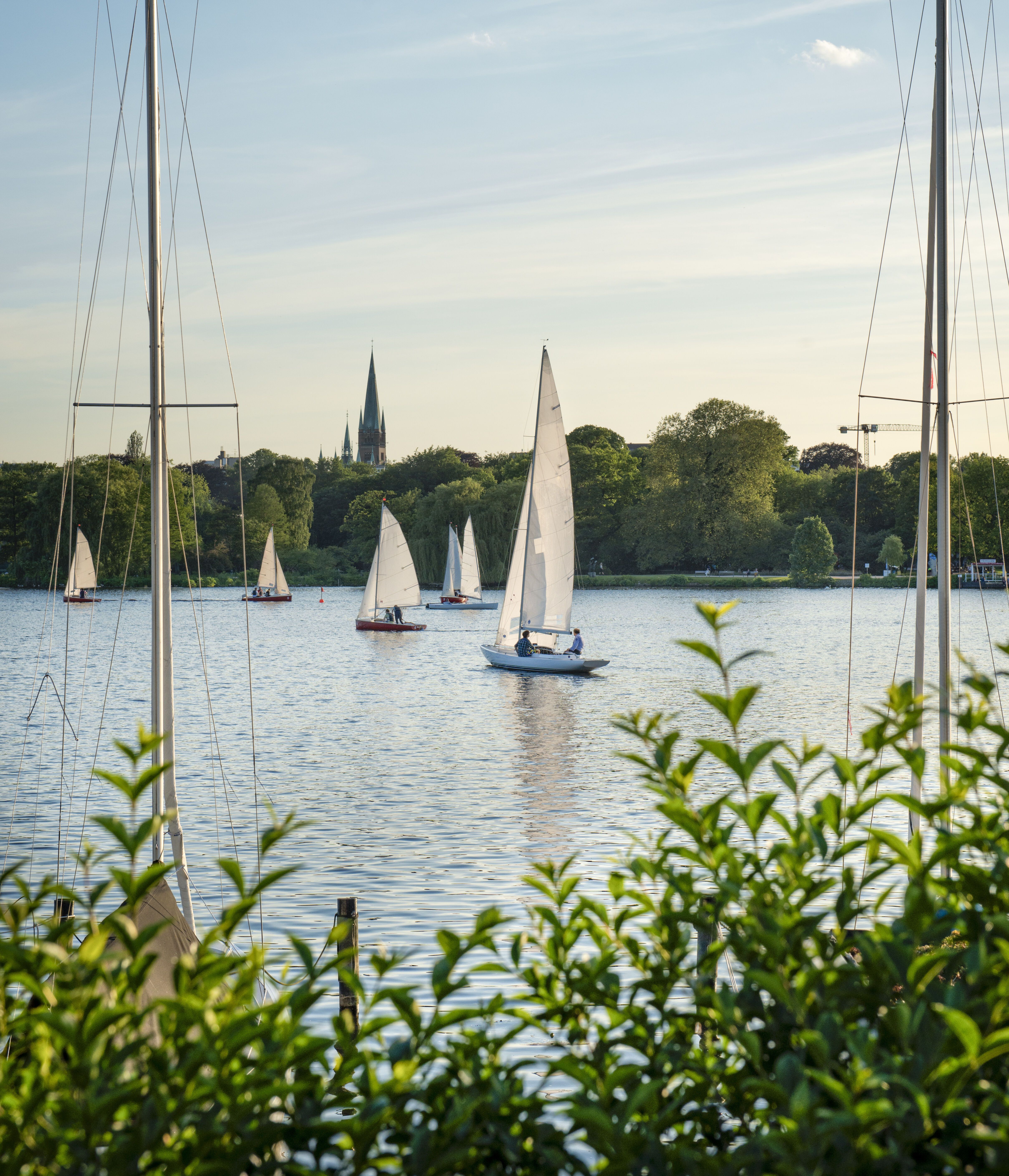 Segelboote gleiten bei klarem Himmel und ruhigem Wasser über einen See, umgeben von grünen Bäumen und einer entfernten Stadtsilhouette mit Kirchturm.