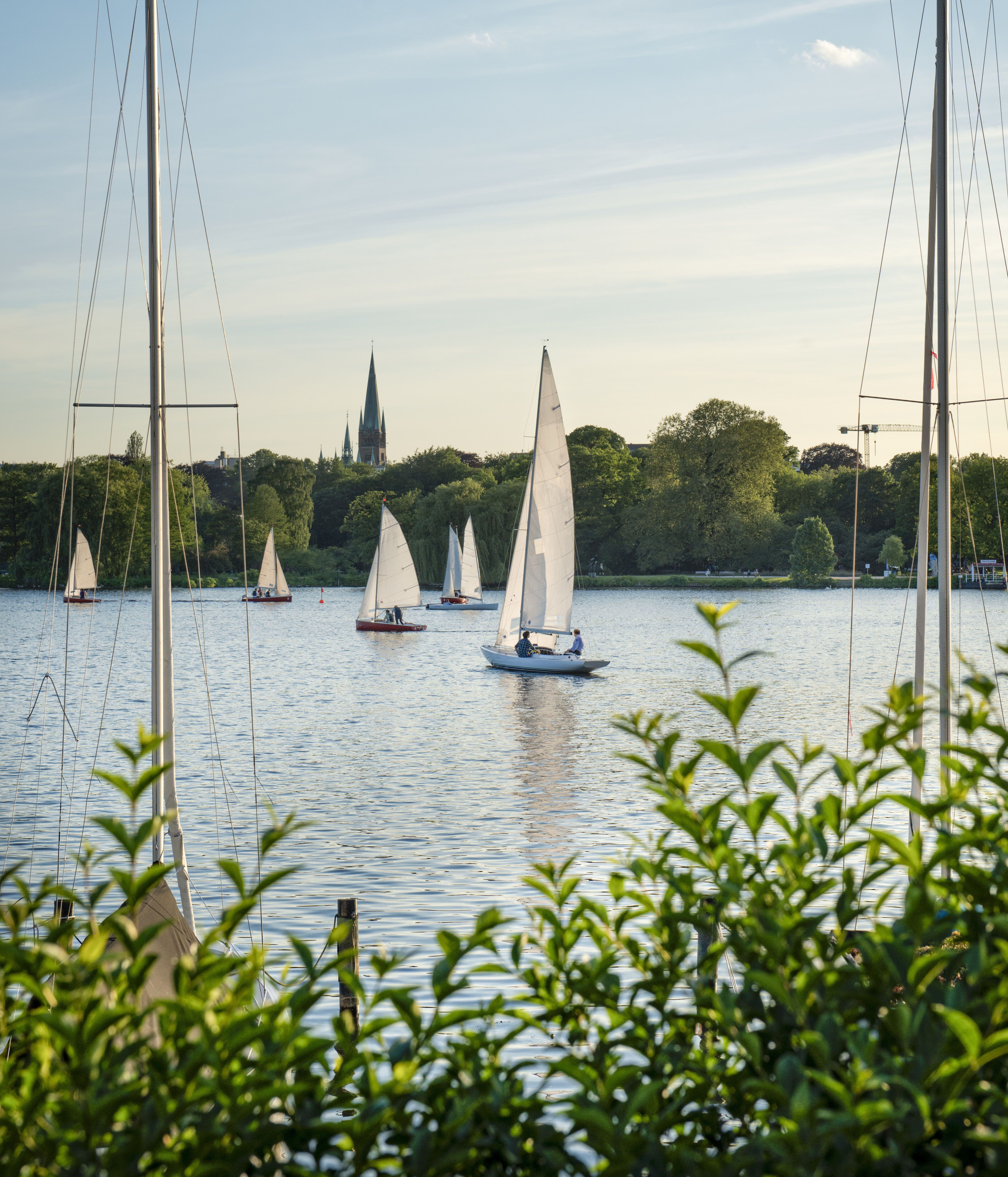 Segelboote gleiten bei klarem Himmel und ruhigem Wasser über einen See, umgeben von grünen Bäumen und einer entfernten Stadtsilhouette mit Kirchturm.