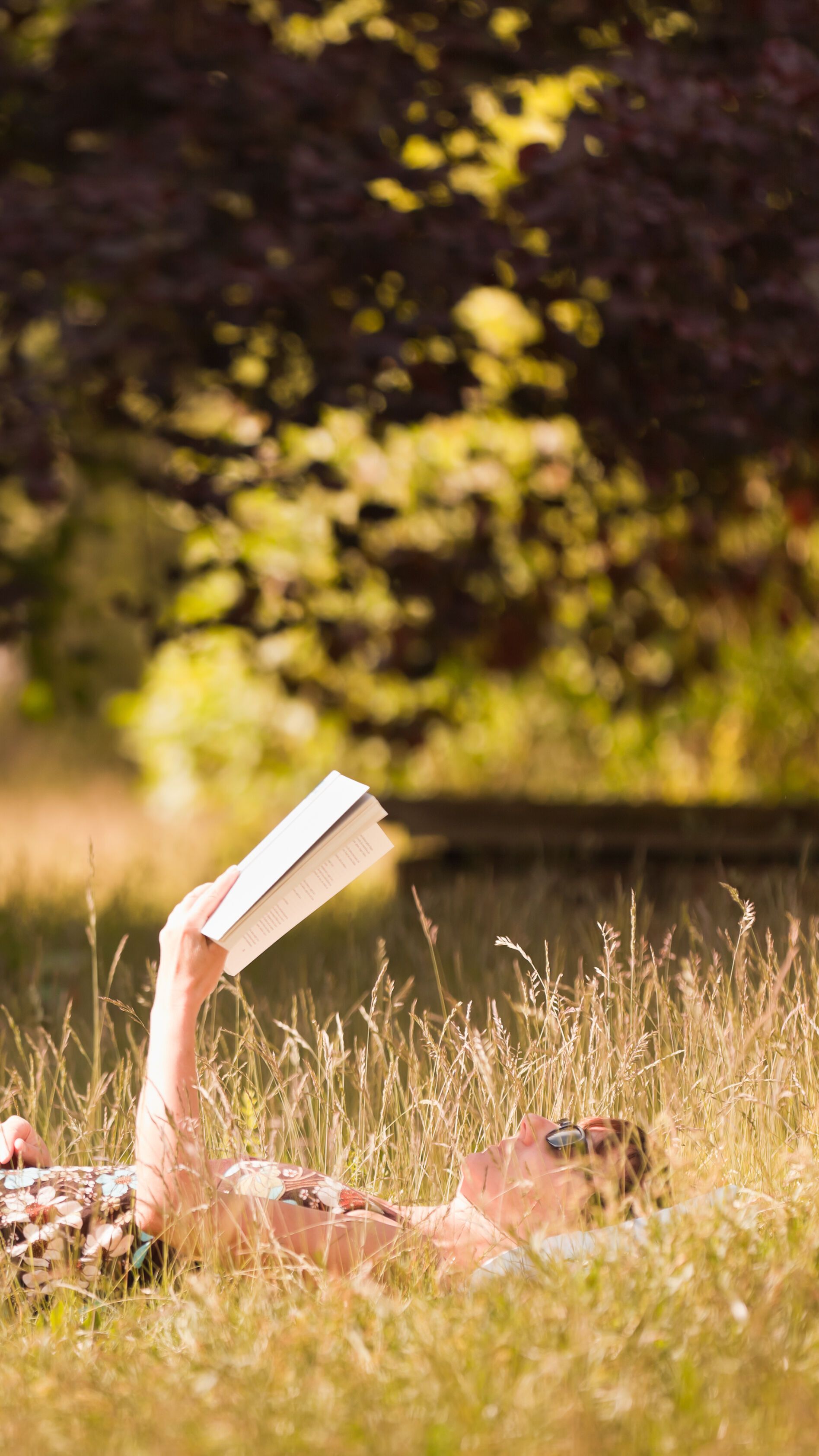Eine Person liegt entspannt auf dem Rücken in einer Wiese und liest ein Buch, umgeben von Bäumen und natürlichem Licht.