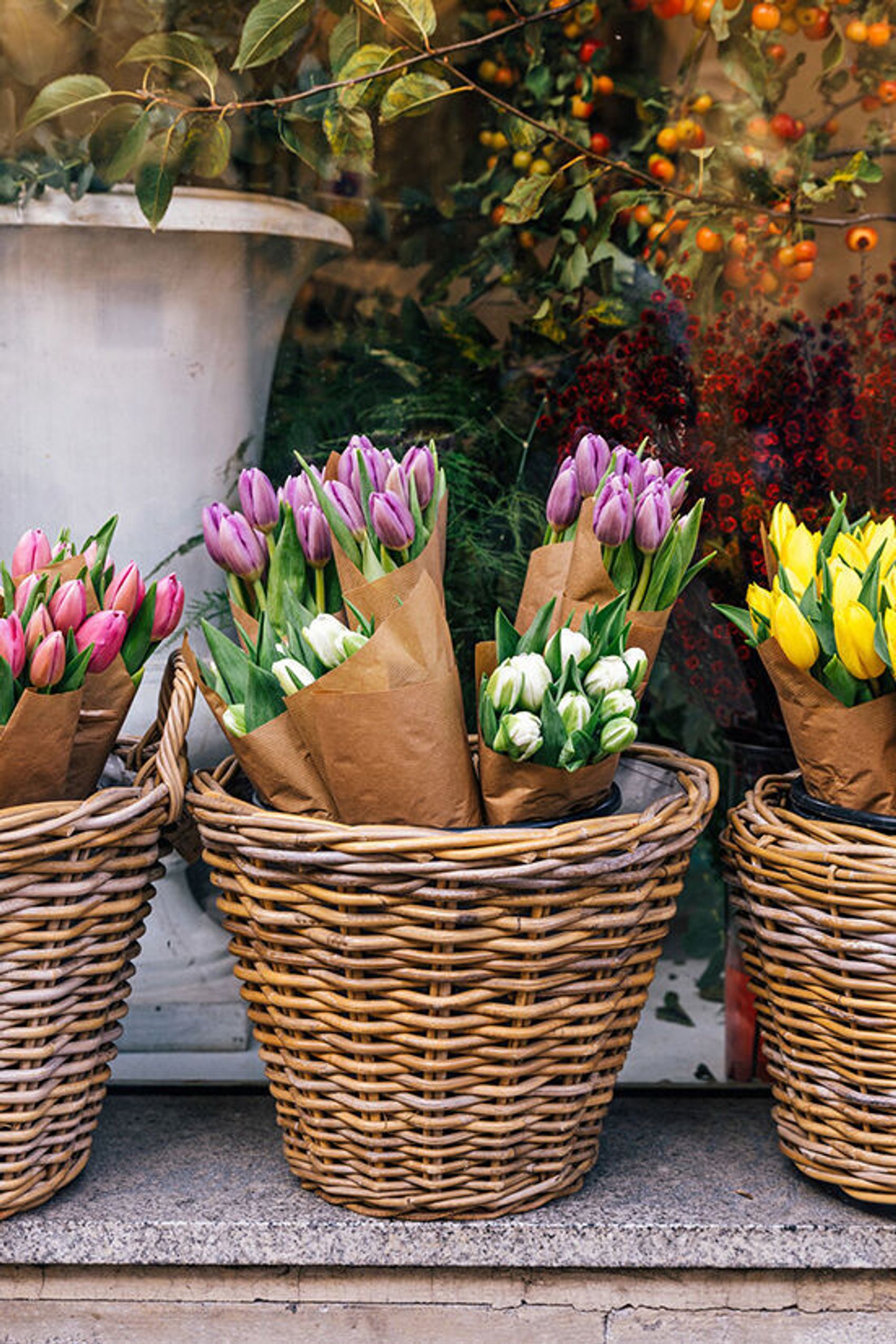 Tulpen Motel One Design Hotels