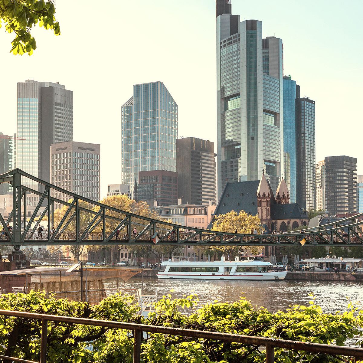 Blick auf die Skyline einer modernen Großstadt mit hohen Wolkenkratzern, einer Stahlbrücke über einen Fluss und einem Passagierschiff bei sonnigem Wetter. Pflanzenrahmen im Vordergrund erzeugen eine einladende Atmosphäre.